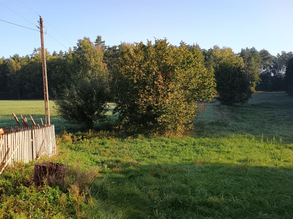 Działka rolno-budowlana Franciszkowo. Zdjęcie 7