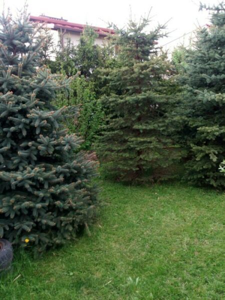 dom wolnostojący, 6 pokoi Kraków Swoszowice, ul. Jana Aleksandra Gorczyna. Zdjęcie 10