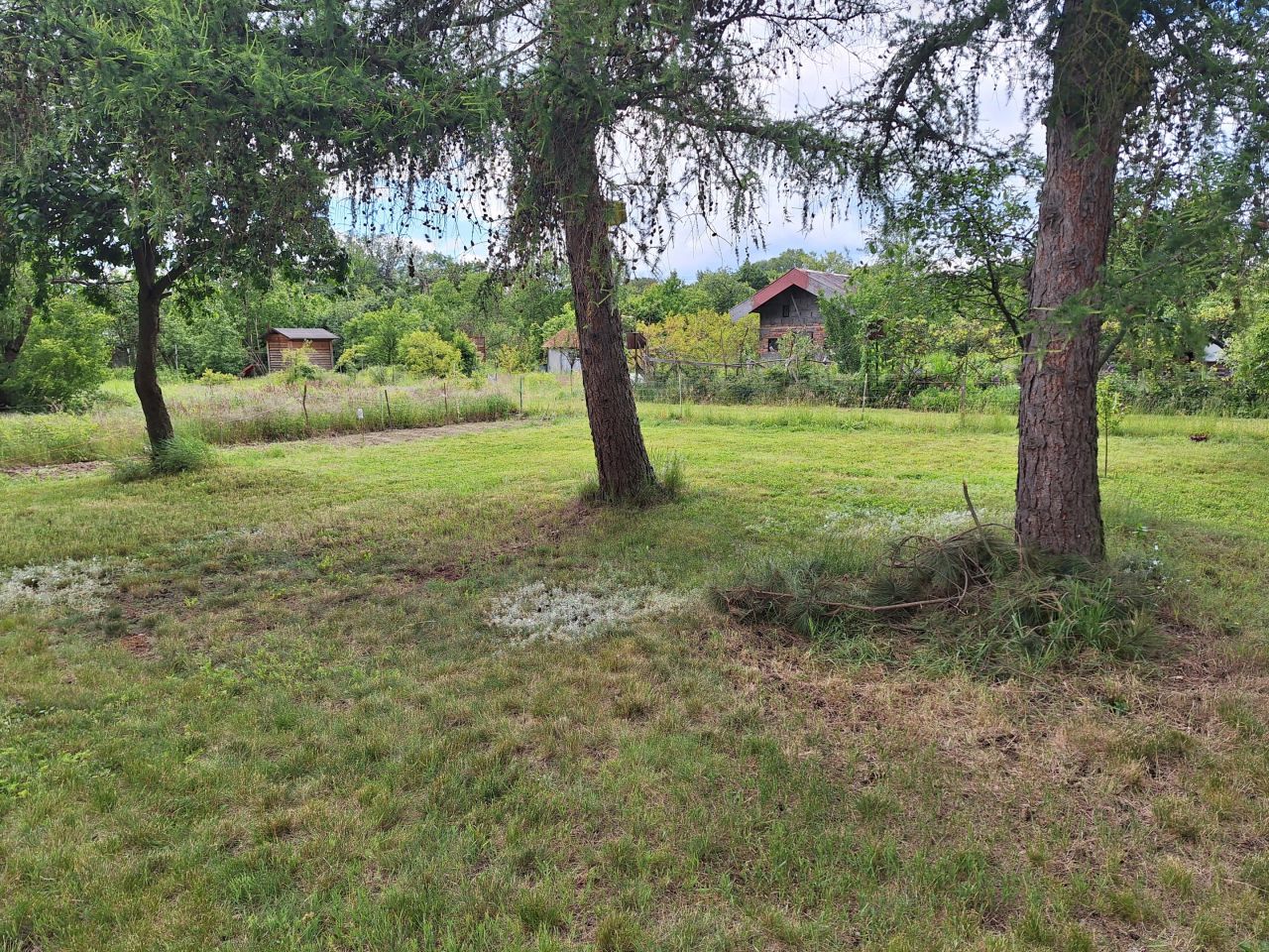 Działka rod Wrocław Jarnołtów, ul. Krobielowicka. Zdjęcie 8