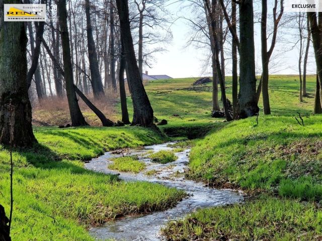 Działka budowlana Stary Klukom. Zdjęcie 9