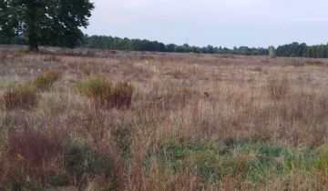 Działka budowlana Stare Załubice