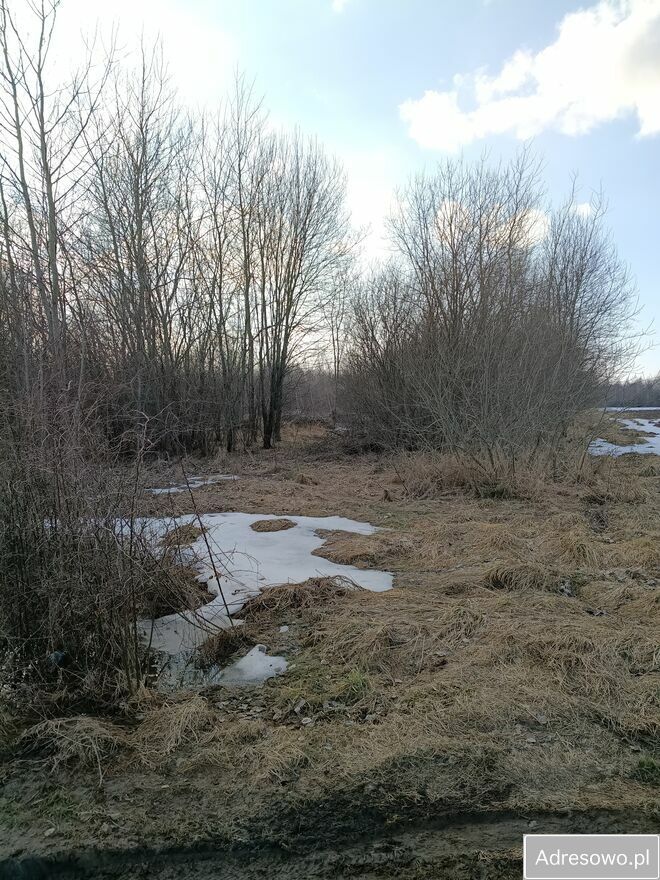 Działka rolna Modlinek. Zdjęcie 6