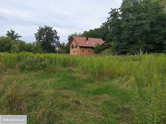 Działka budowlana Wisznia Mała, ul. Parkowa. Zdjęcie 1