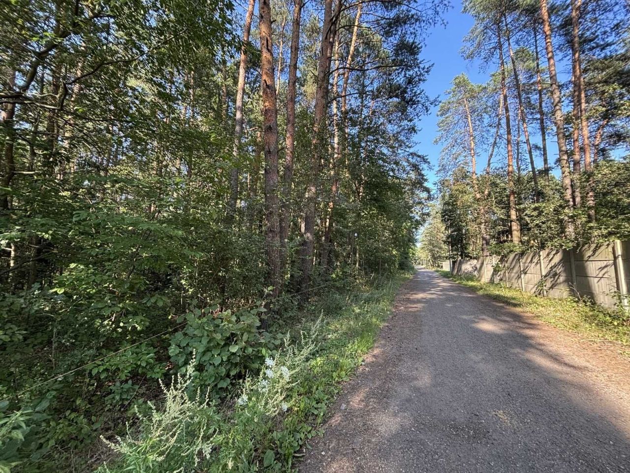 Działka budowlana Rudnik Wielki, ul. Nowa. Zdjęcie 3