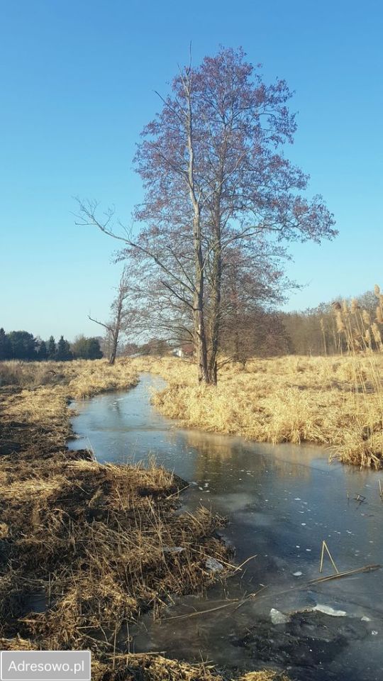 Działka rekreacyjna Głosków, ul. Millenium. Zdjęcie 10