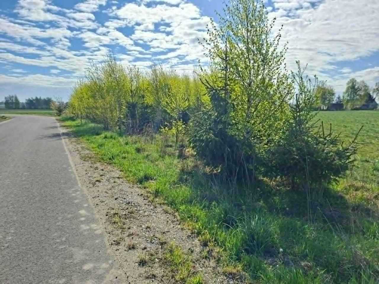 Działka rolna Szczepanów. Zdjęcie 4