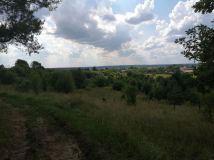 Działka rolna Jedwabno. Zdjęcie 3