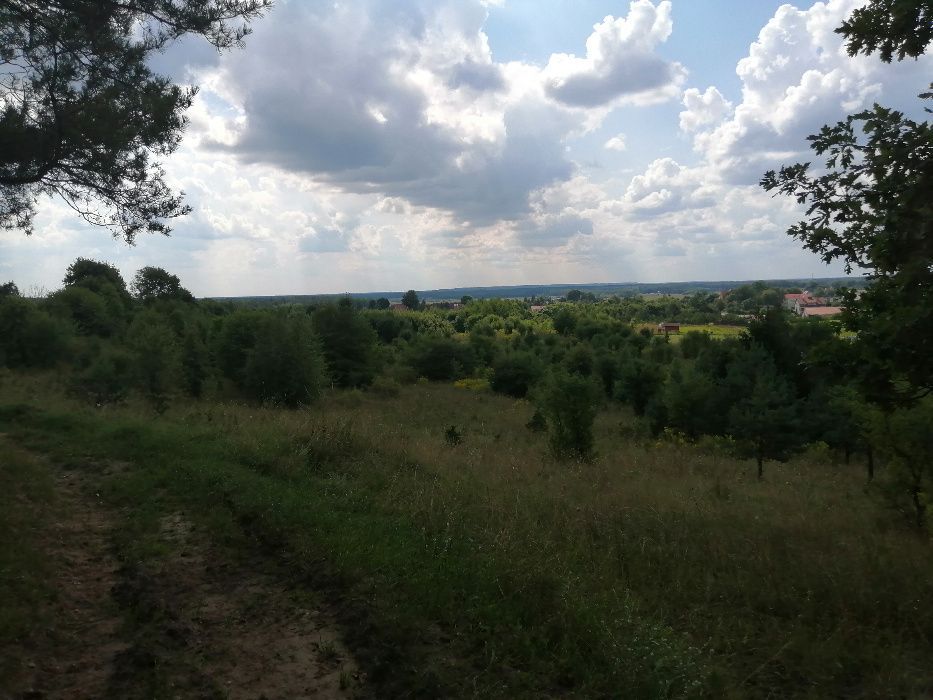 Działka rolna Jedwabno. Zdjęcie 4