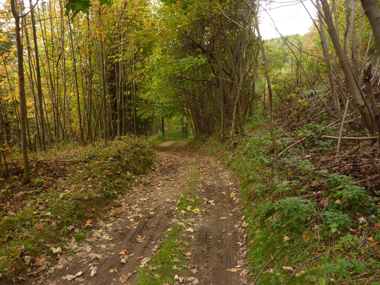 Działka rolna Pewel Wielka Garleje. Zdjęcie 30