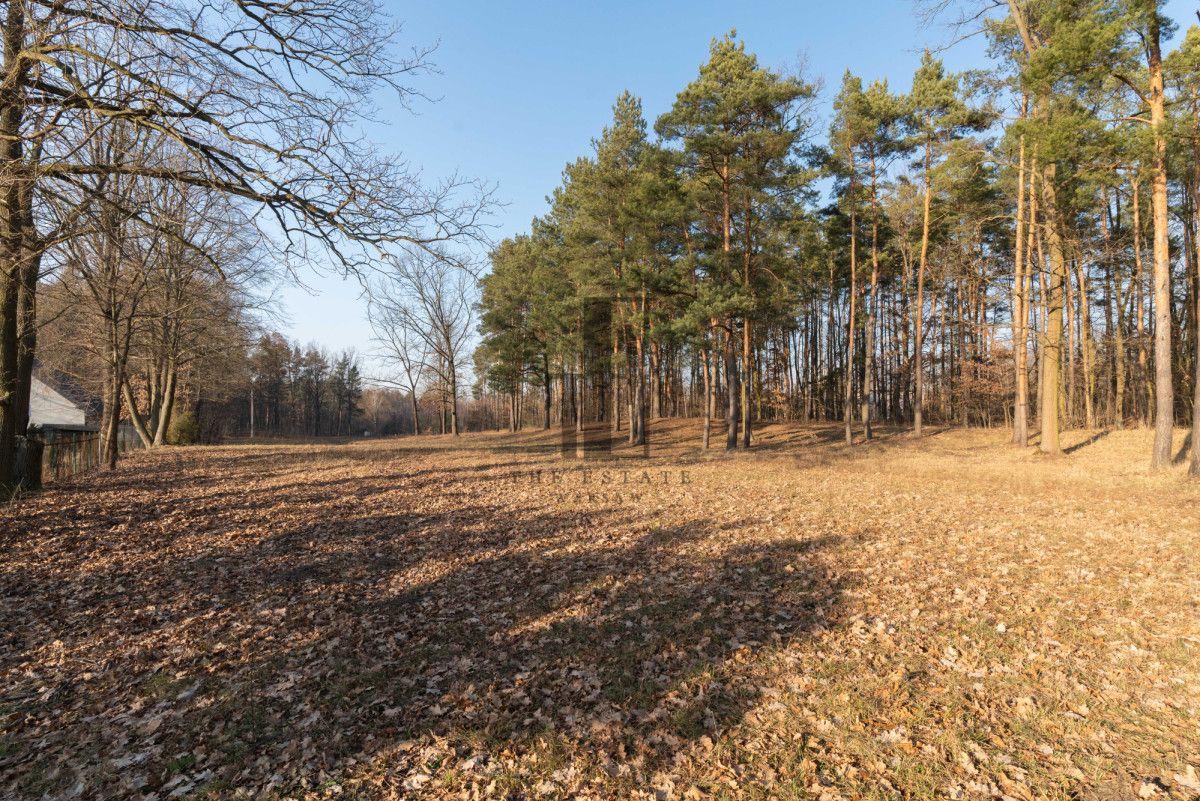 Działka budowlana Warszawa Wawer. Zdjęcie 2