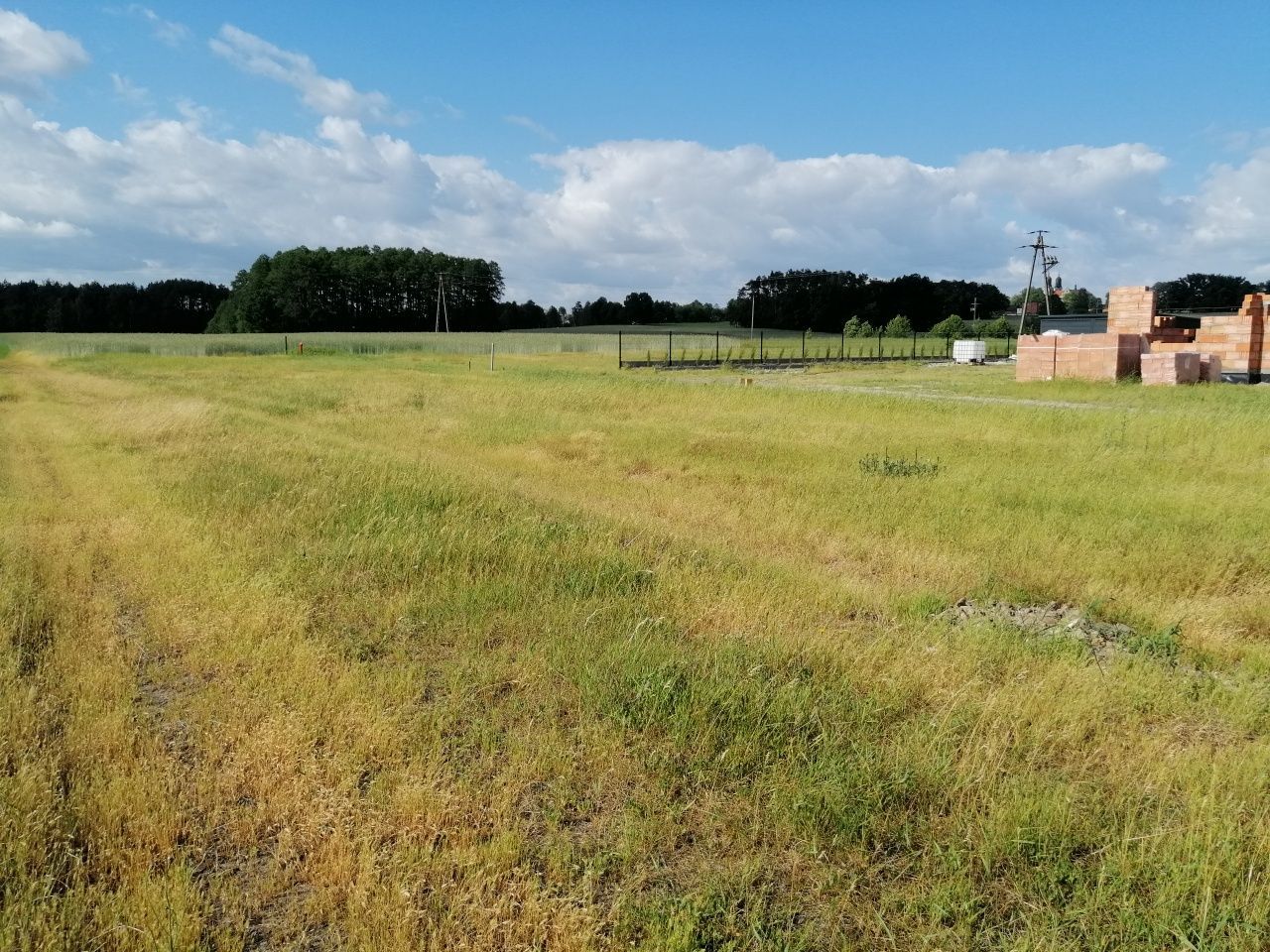 Działka budowlana Przespolew Pański. Zdjęcie 4