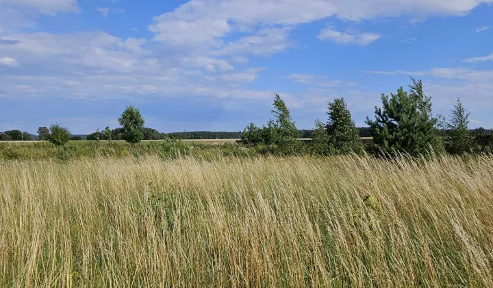 Działka budowlana Radomin