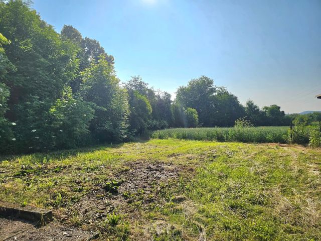 Hala/magazyn Racibórz Płonia, ul. Sudecka. Zdjęcie 4