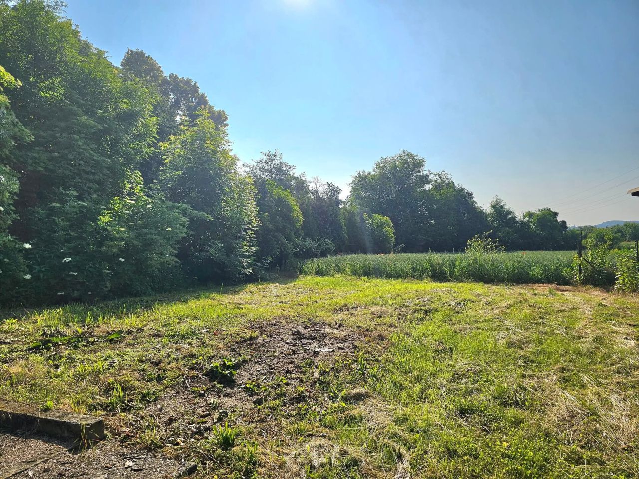 Hala/magazyn Racibórz Płonia, ul. Sudecka. Zdjęcie 4