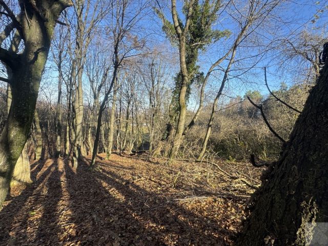 Działka leśna Przemyśl Kruhel Wielki, ul. Łowiecka. Zdjęcie 8