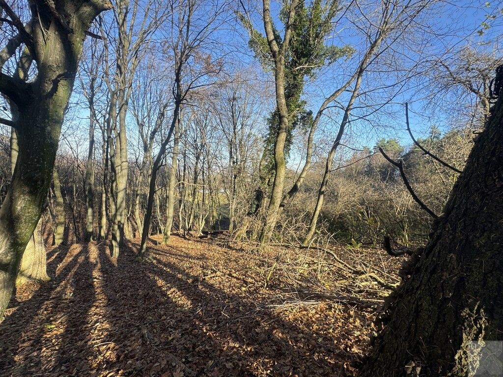 Działka leśna Przemyśl Kruhel Wielki, ul. Łowiecka. Zdjęcie 8