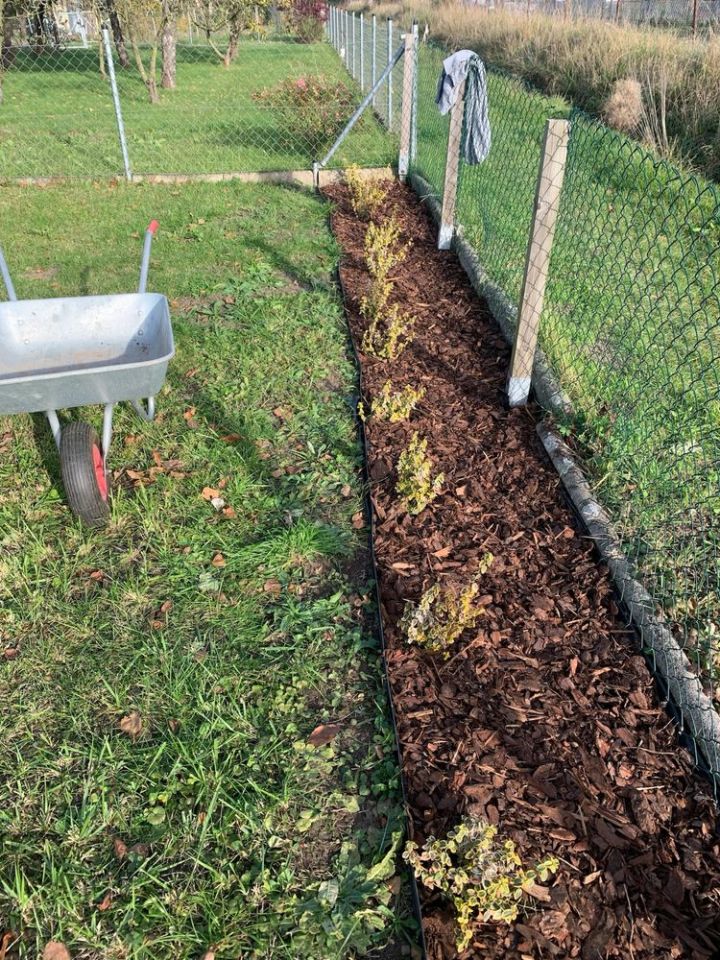 Działka rod Wrocław Kłokoczyce. Zdjęcie 4