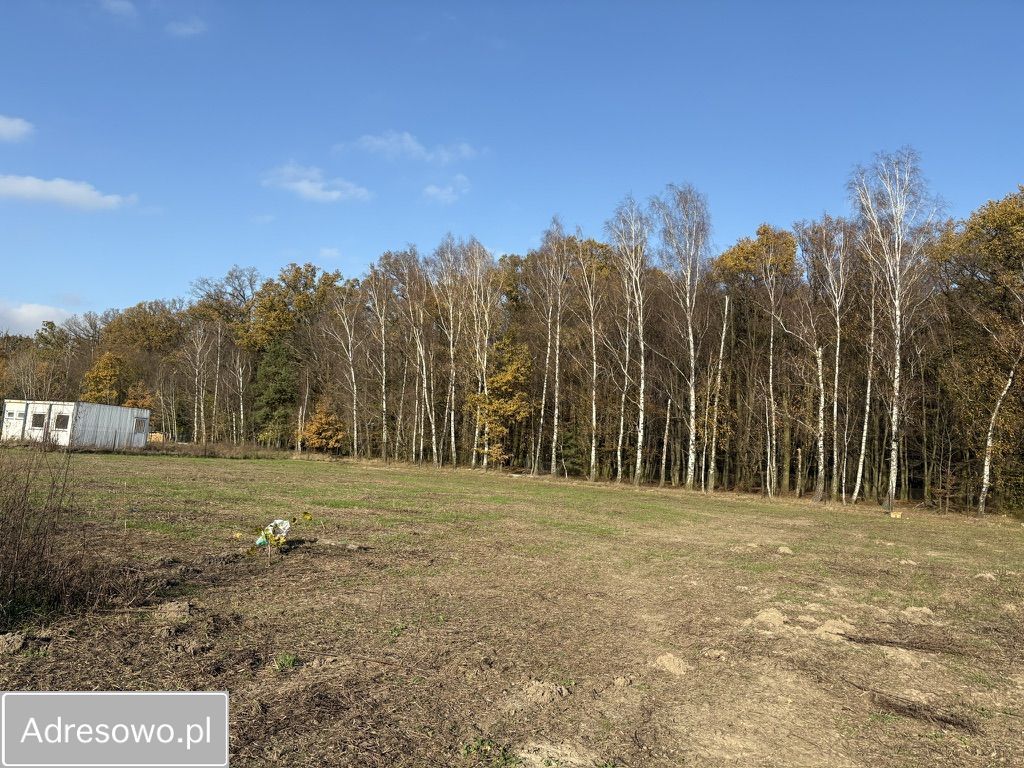 Działka rolno-budowlana Radziwiłłów. Zdjęcie 11