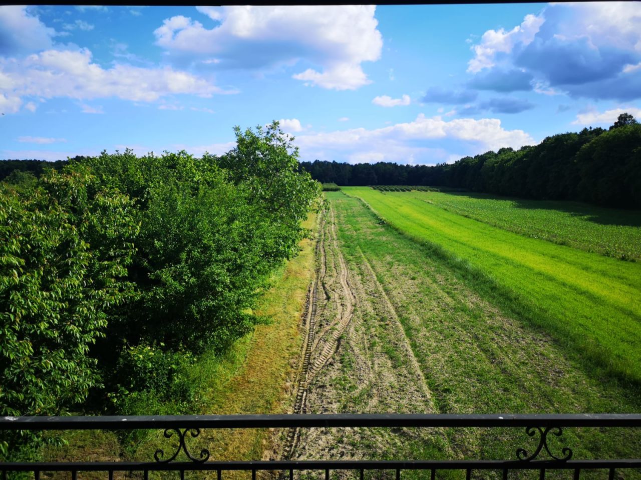 dom wolnostojący, 5 pokoi Antonówka. Zdjęcie 5