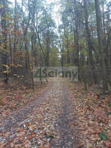 Działka leśna Sękocin-Las. Zdjęcie 4