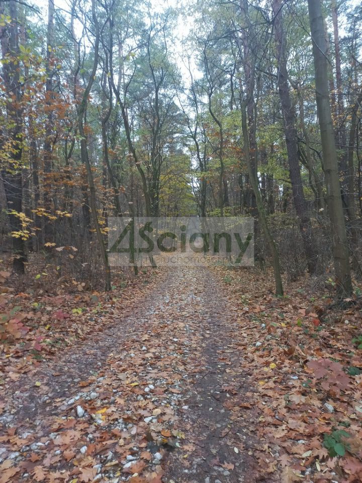Działka leśna Sękocin-Las. Zdjęcie 4