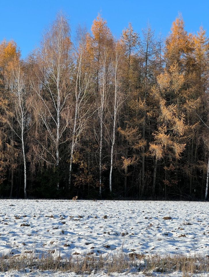 Działka rolna Folwarki Małe. Zdjęcie 6