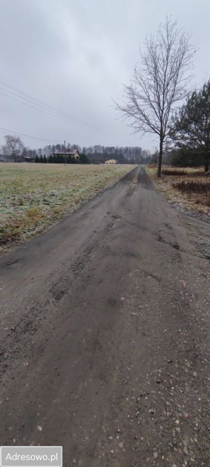 Działka rolno-budowlana Wola Krobowska. Zdjęcie 3