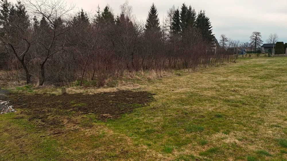 Działka budowlana Goleszów, ul. Narcyzów. Zdjęcie 6