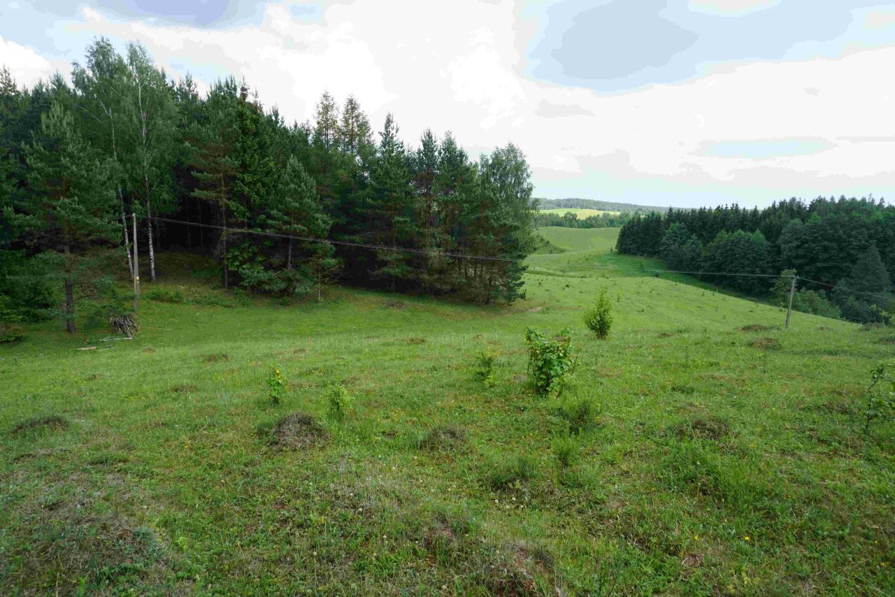 Działka siedliskowa Osinki. Zdjęcie 13