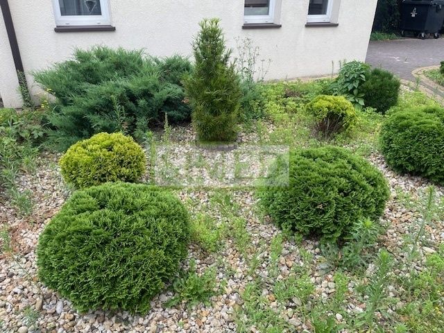 dom wolnostojący, 6 pokoi Łomianki, ul. Szkolna. Zdjęcie 3