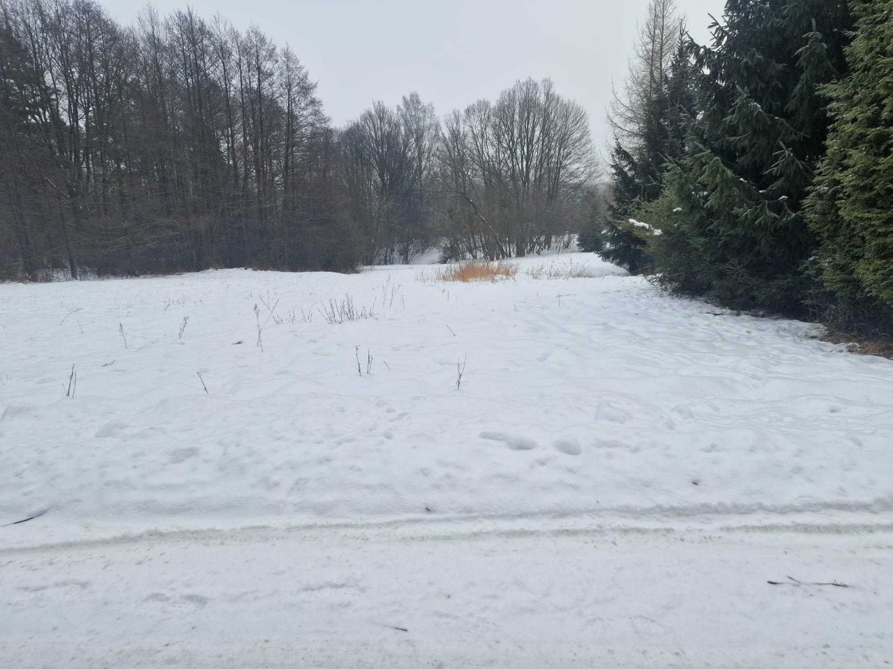 Działka budowlana Parszów. Zdjęcie 3