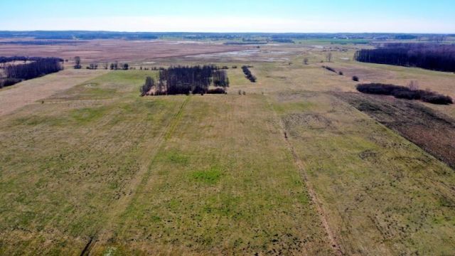 Działka rolna Siedliska. Zdjęcie 10