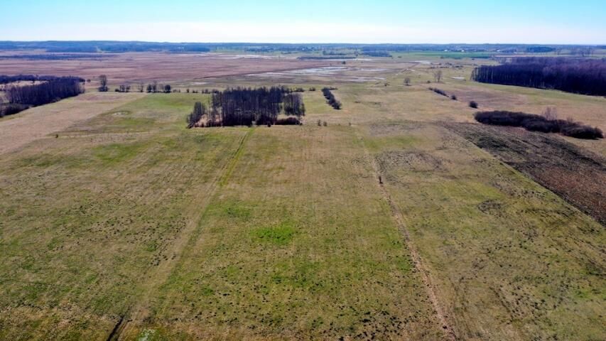 Działka rolna Siedliska. Zdjęcie 10