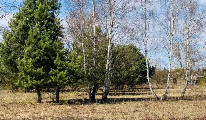 Działka budowlana Runów