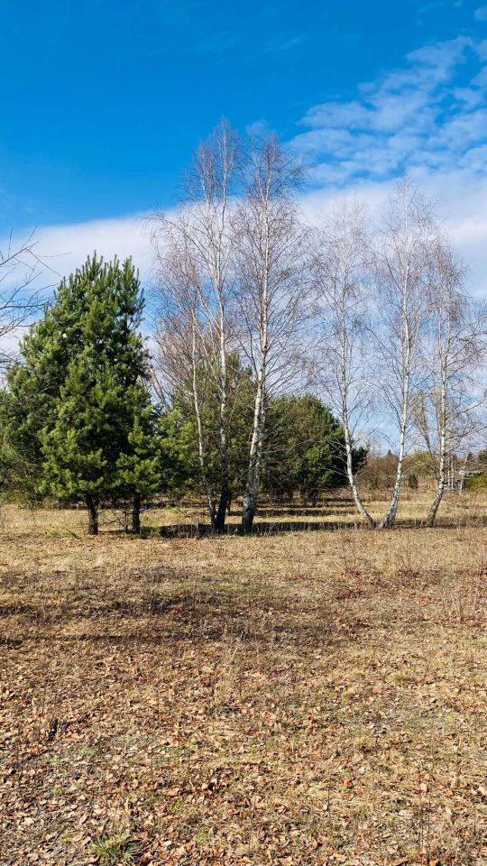 Działka budowlana Runów. Zdjęcie 1