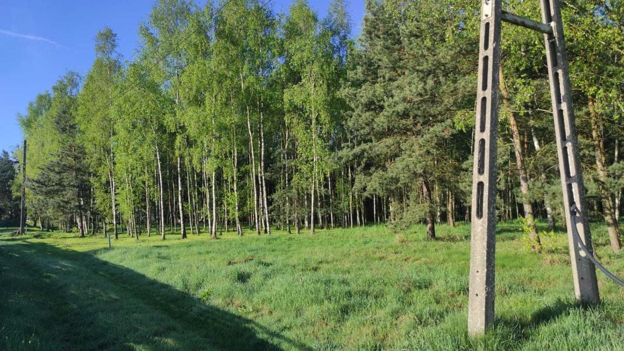 Działka budowlana Witków. Zdjęcie 6