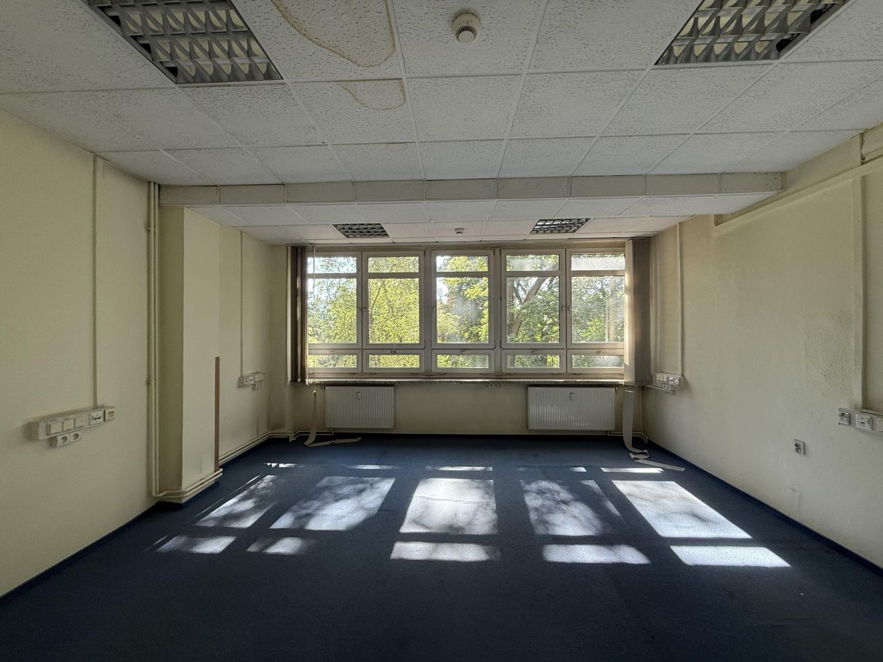 Lokal Rybnik Śródmieście, ul. Henryka Wieniawskiego. Zdjęcie 14