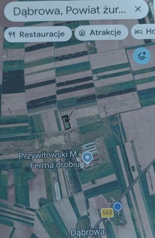 Działka rolna Dąbrowa. Zdjęcie 1