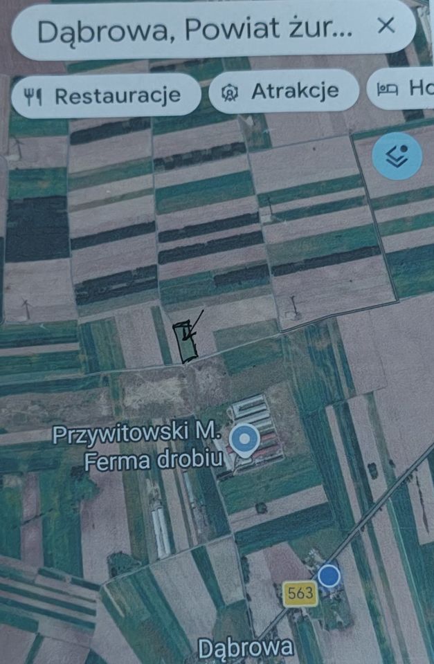 Działka rolna Dąbrowa. Zdjęcie 1