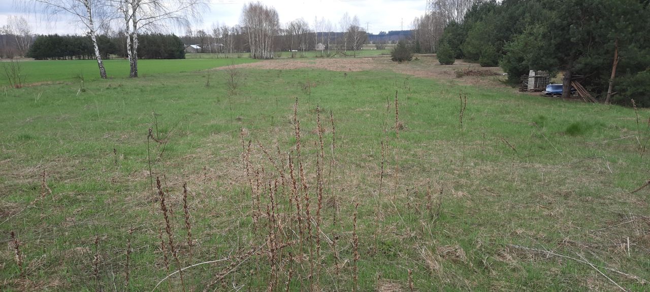 Działka rolno-budowlana Rudnik Mały. Zdjęcie 3