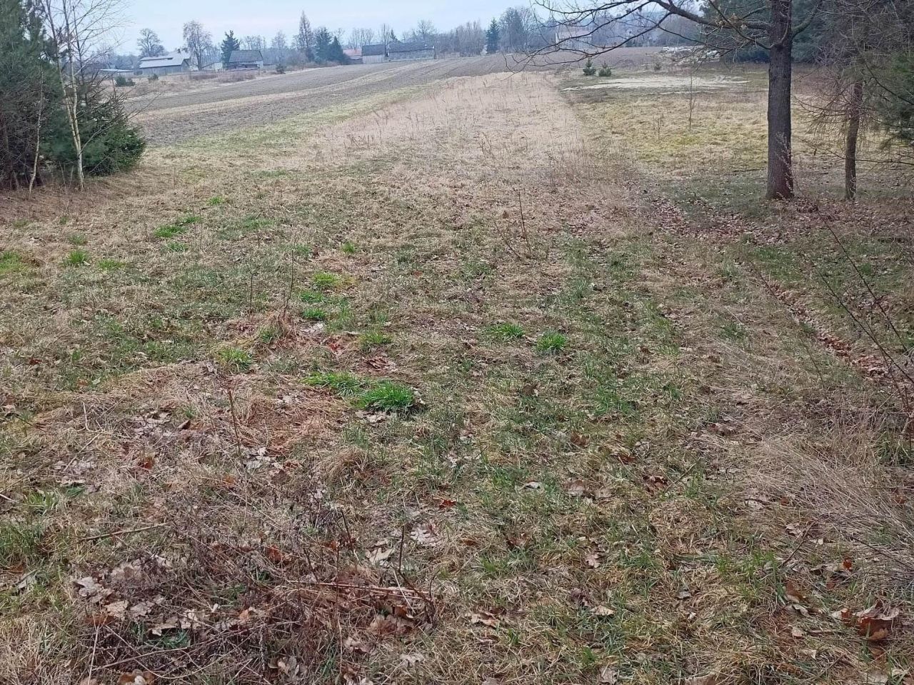 Działka rolno-budowlana Poświętne, ul. Polna. Zdjęcie 11