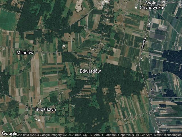 Działka leśna Edwardów. Zdjęcie 1