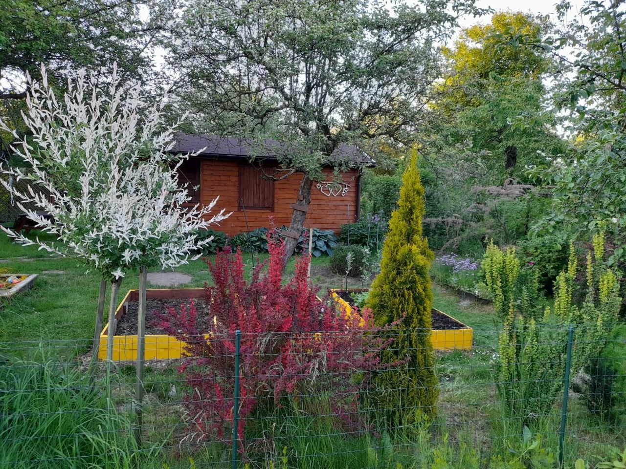 Działka rod Kraków Bronowice, ul. Mydlnicka. Zdjęcie 2