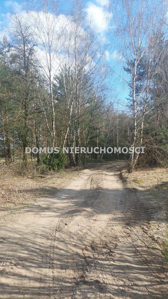 Działka inwestycyjna Grzmiąca. Zdjęcie 4