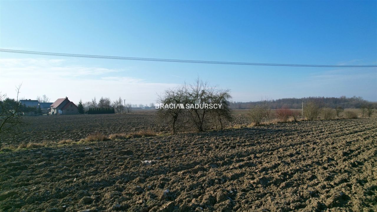 Działka Szczurowa, Popędzyna. Zdjęcie 18