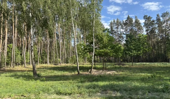 Działka budowlana Polków-Daćbogi