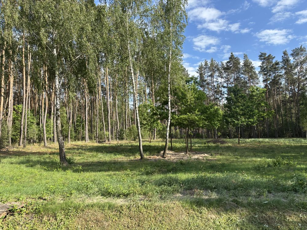 Działka budowlana Polków-Daćbogi. Zdjęcie 1