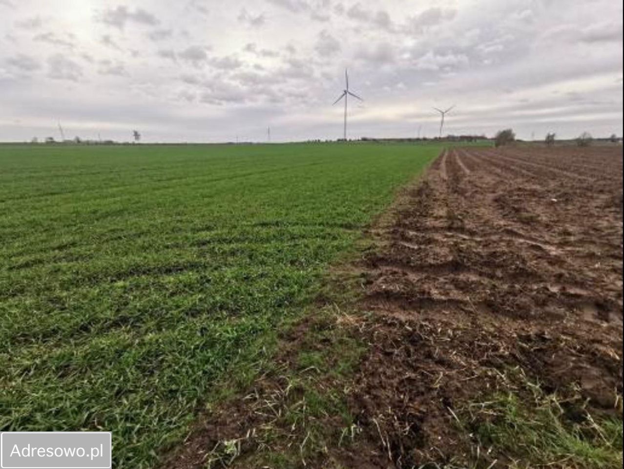 Działka budowlana Sypniewo. Zdjęcie 1