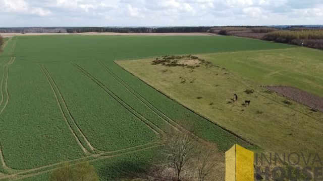 Działka siedliskowa Łabiszewo. Zdjęcie 2