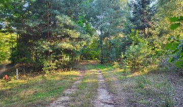 Działka rolna Borszyce